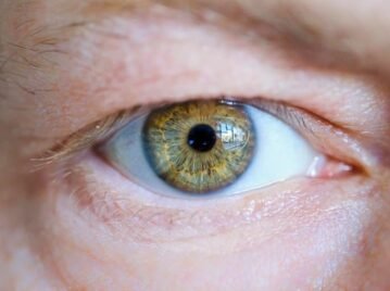 eye-disease-detection-neurosicence-public